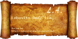 Lebovits Amélia névjegykártya